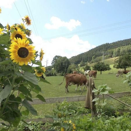 Urlaub Auf Dem Haenslehof Apartment Elzach Exterior foto
