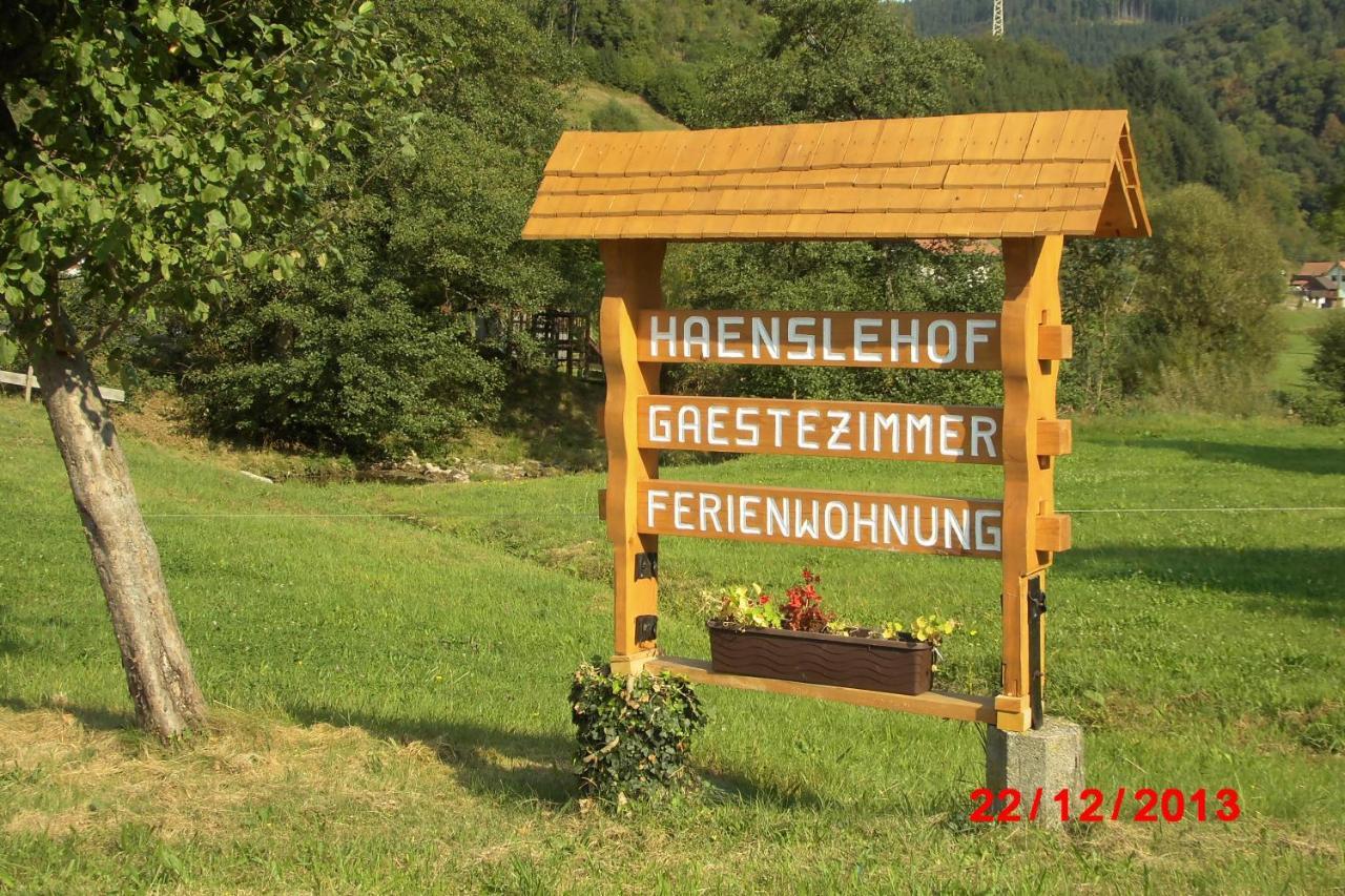 Urlaub Auf Dem Haenslehof Apartment Elzach Exterior foto