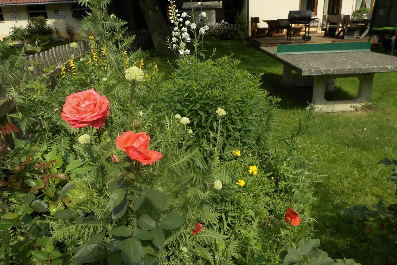 Urlaub Auf Dem Haenslehof Apartment Elzach Exterior foto