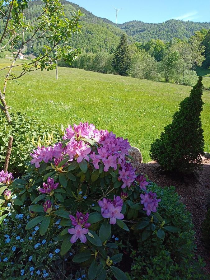 Urlaub Auf Dem Haenslehof Apartment Elzach Exterior foto