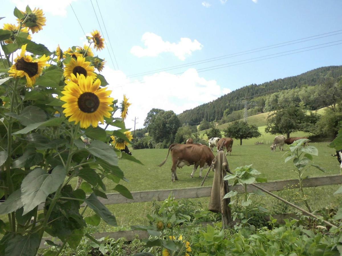 Urlaub Auf Dem Haenslehof Apartment Elzach Exterior foto